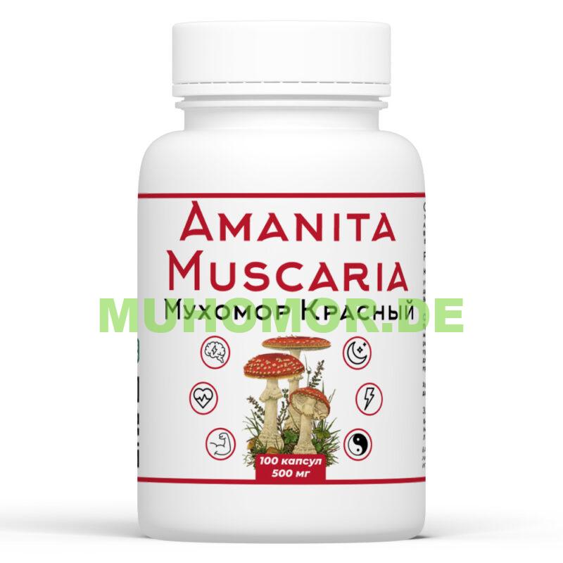 Микродозинг Красный Мухомор с доставкой в Германии