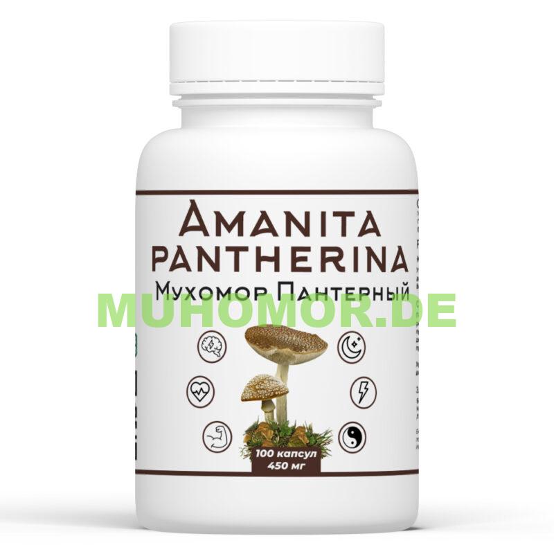 Микродозинг Пантерный Мухомор доставка по Германии