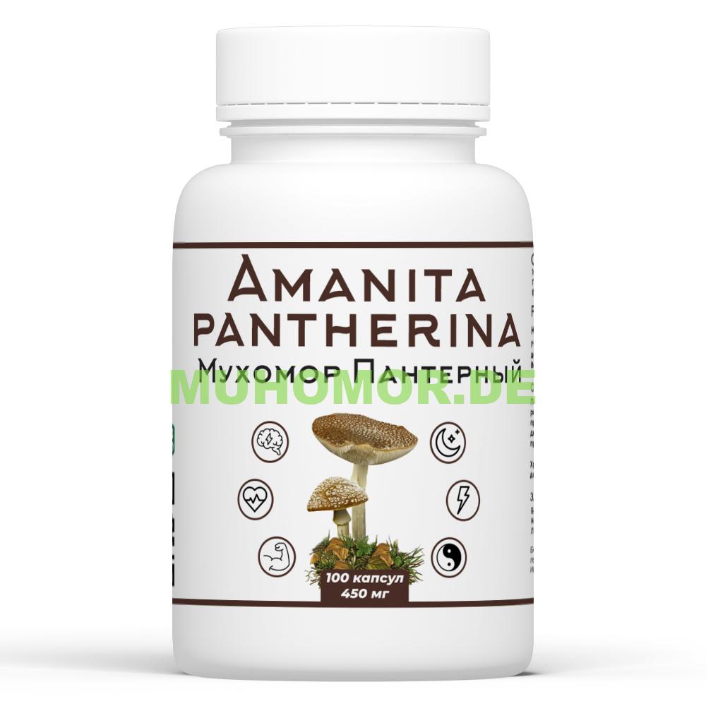 Пантерный Микродозинг Пантерный Мухомор доставка по Германии