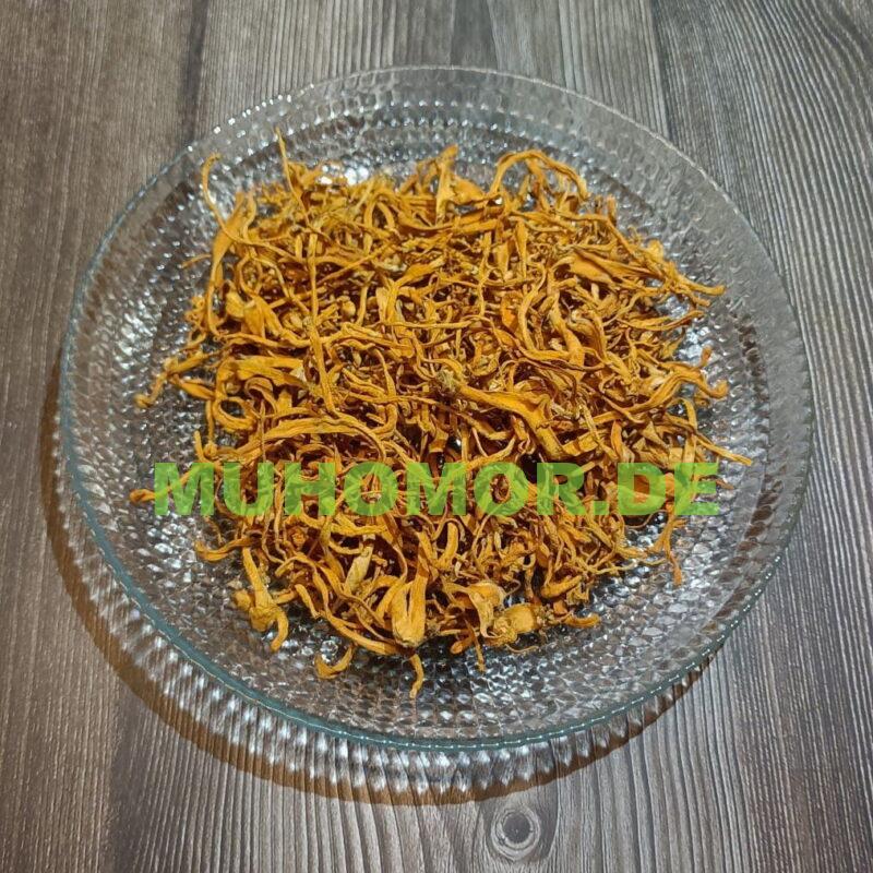 Кордицепс Милитарис Cordyceps Militaris Гриб сушенный с доставкой по Германии Germany