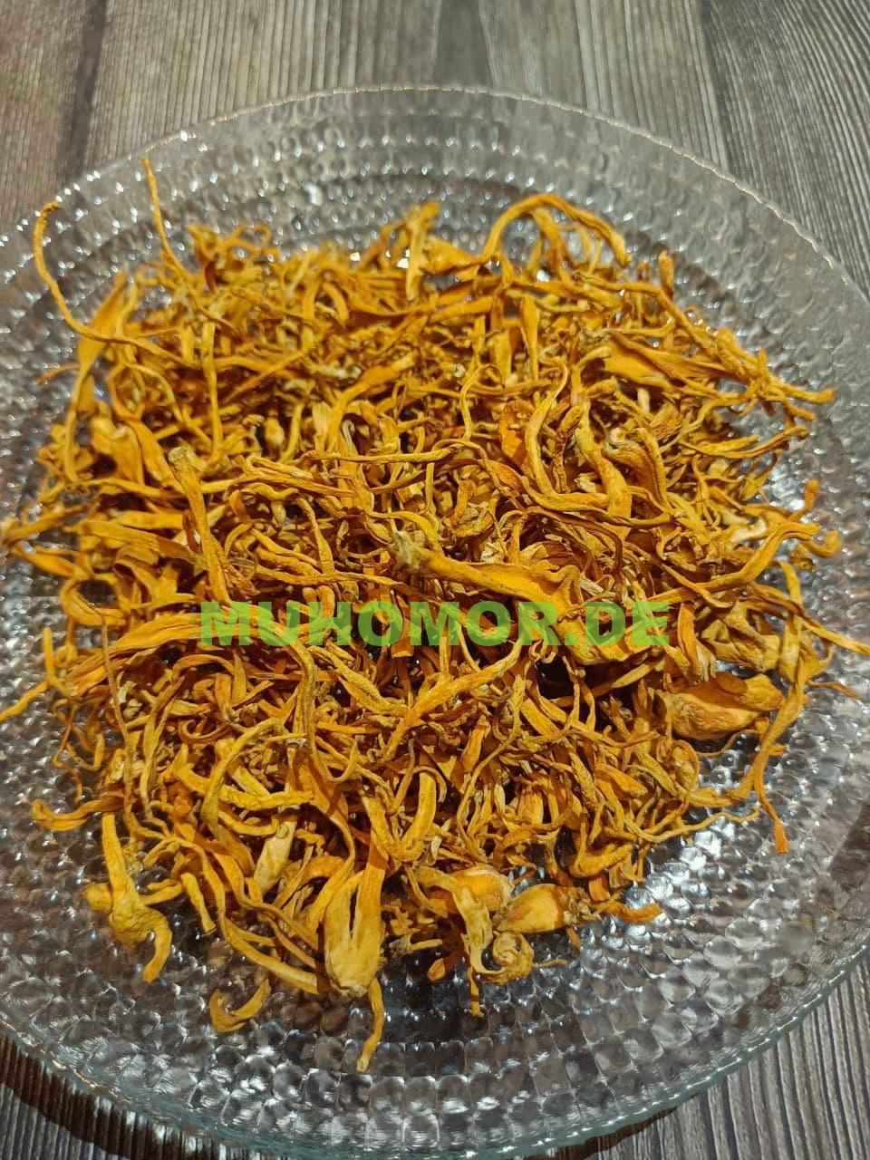 photo_2022-02-11_00-56-44 Кордицепс Милитарис Cordyceps Militaris Гриб сушенный Германия