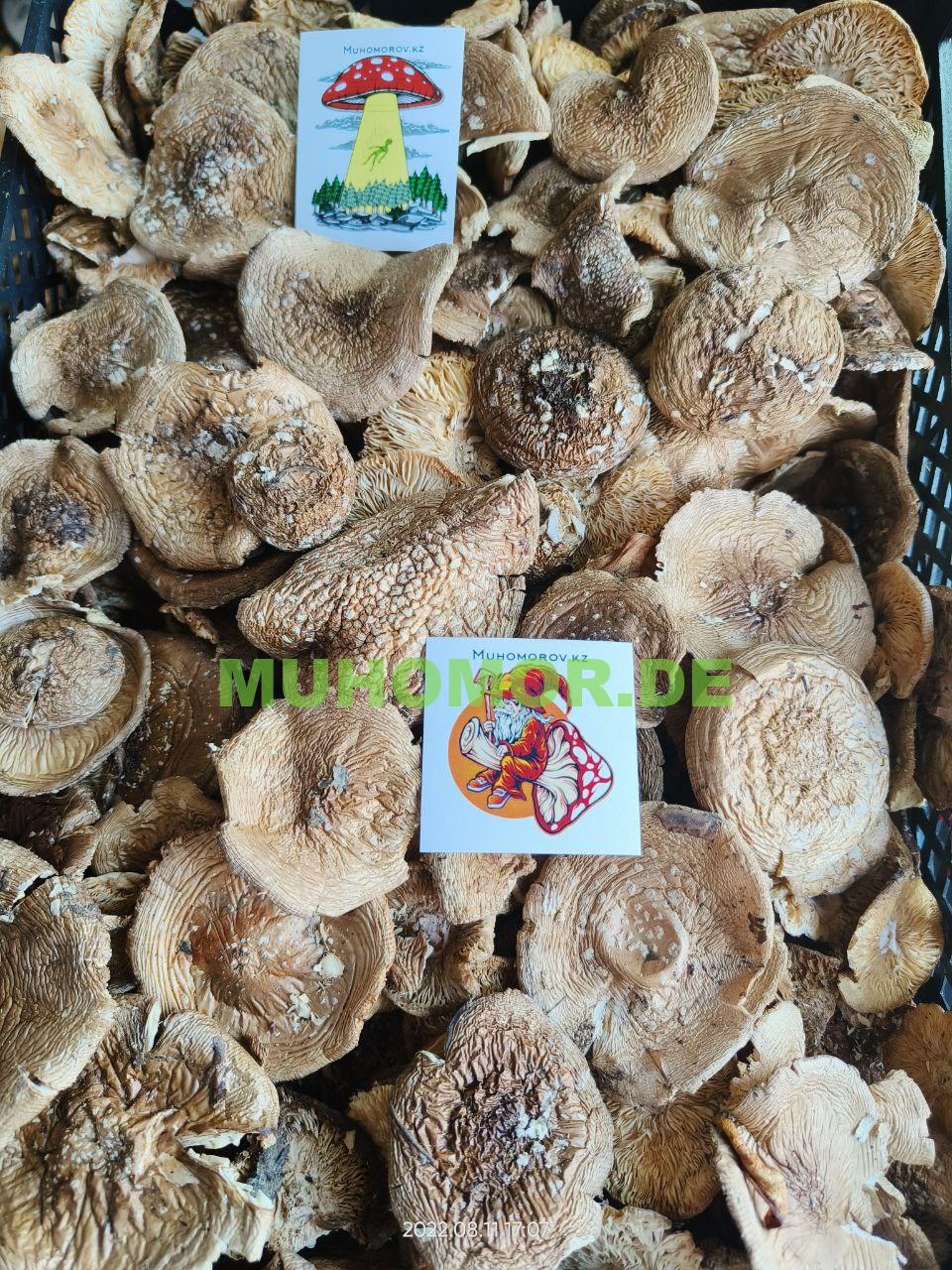 photo_2022-08-13_00-57-25