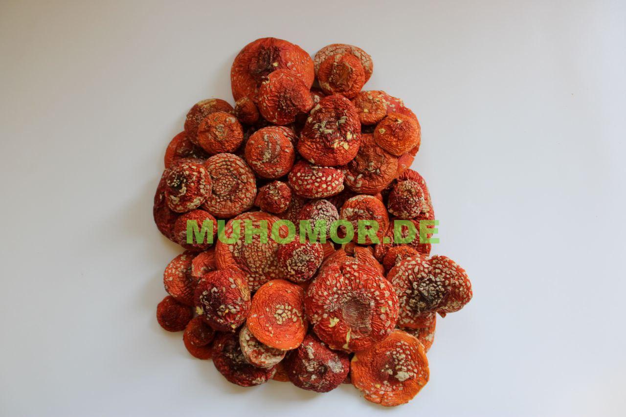 photo_2023-07-06_21-19-47