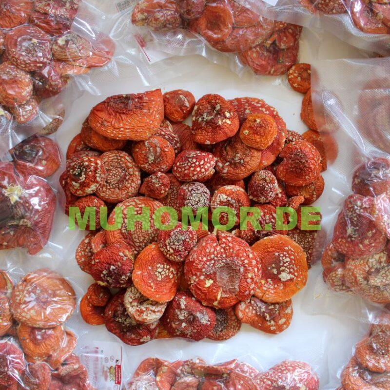 Мухомор Красный Шляпки с доставкой по Германии