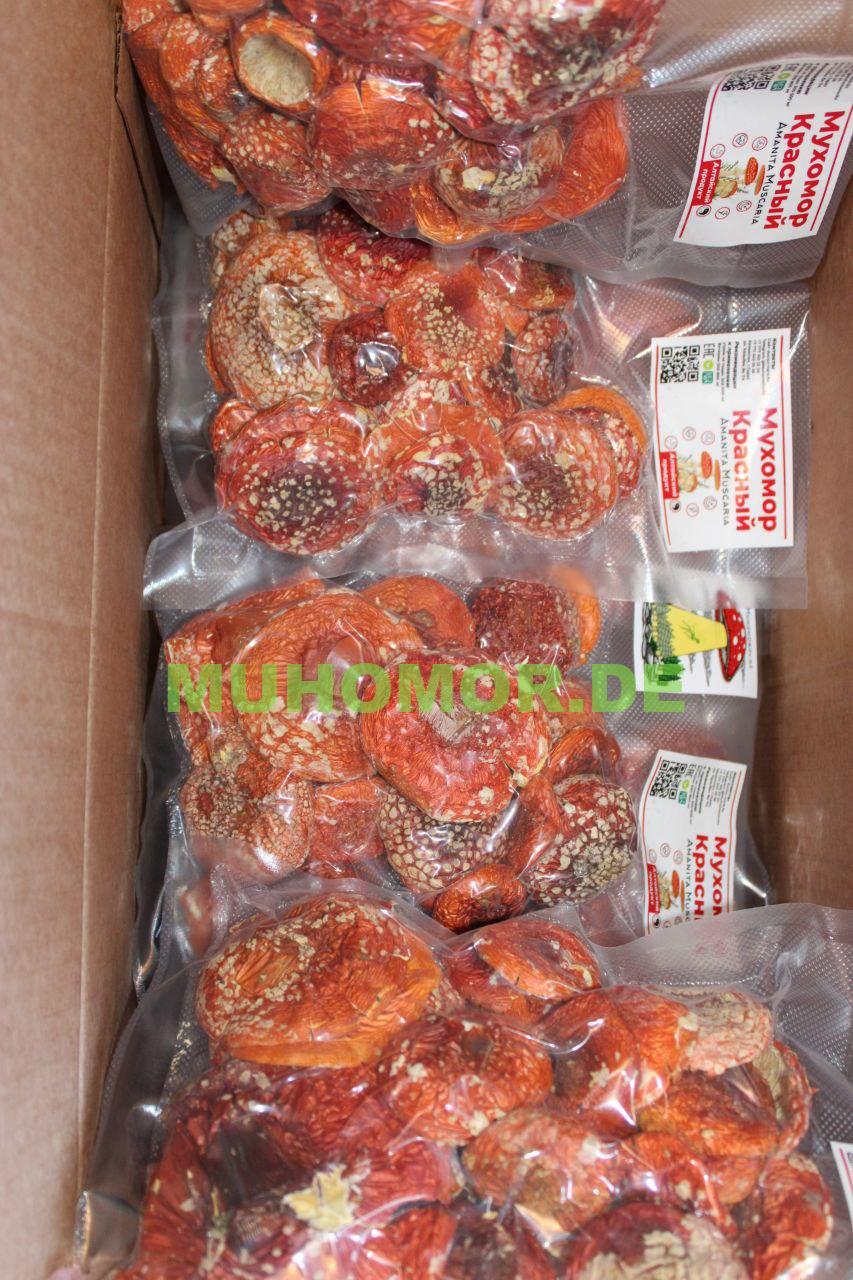 Шляпки Мухомора Мухомор Красный Шляпки с доставкой по Германии