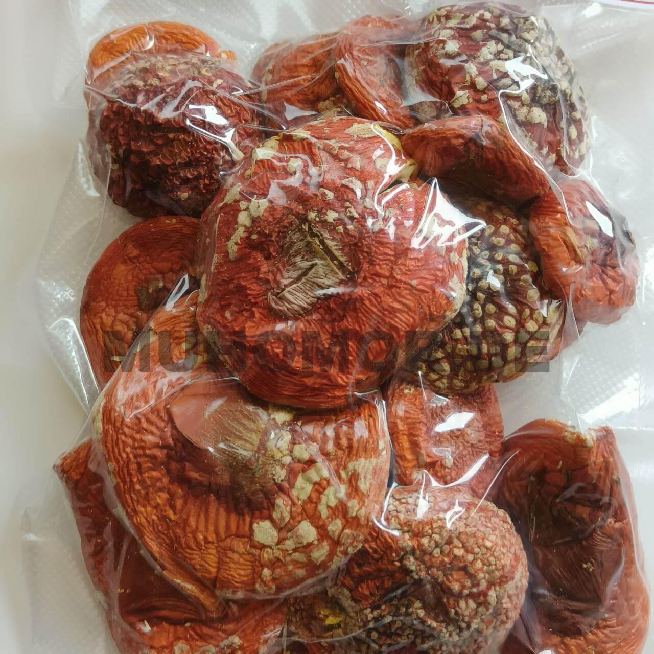 photo_2023-07-06_21-20-21