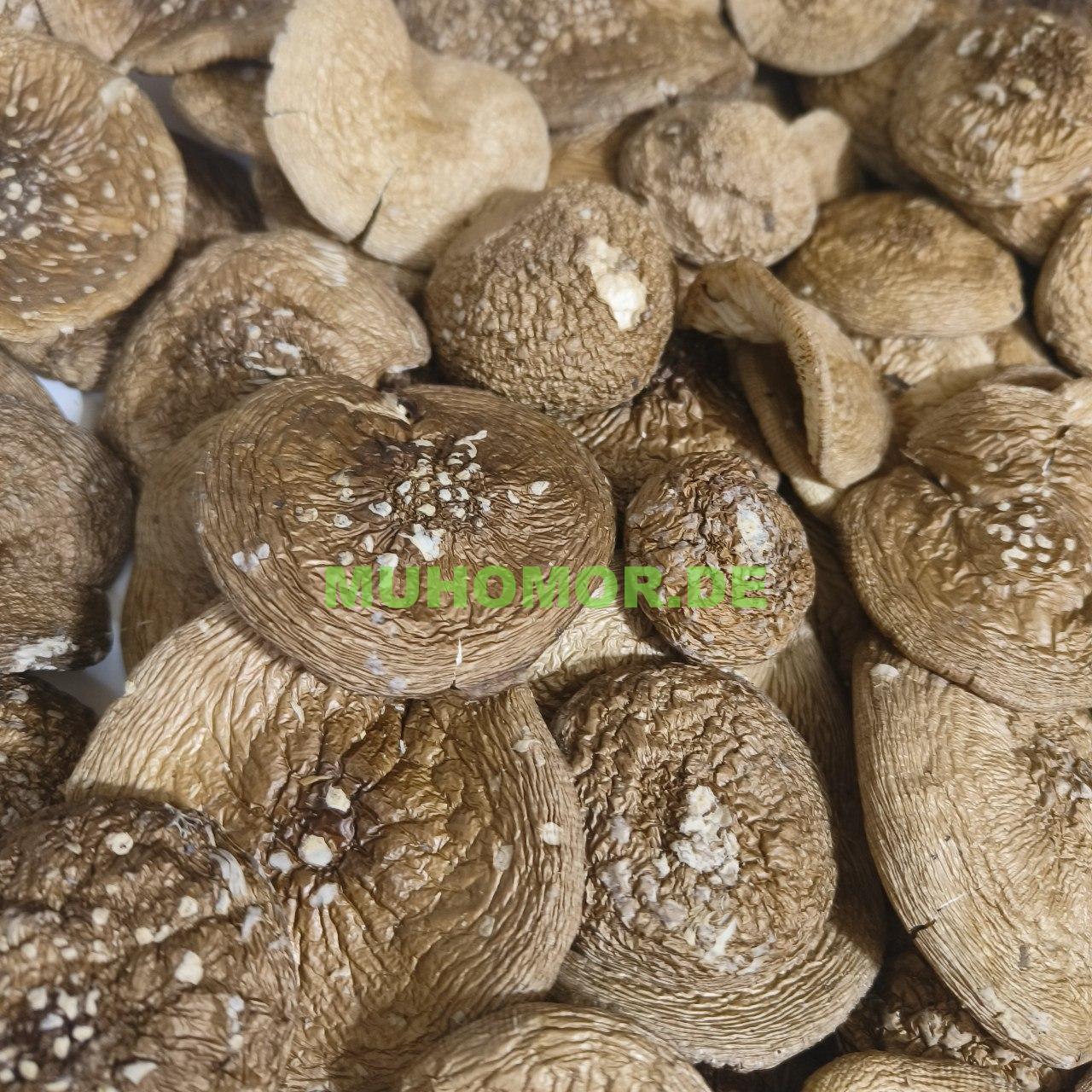 photo_2023-09-08_17-21-18 (3)