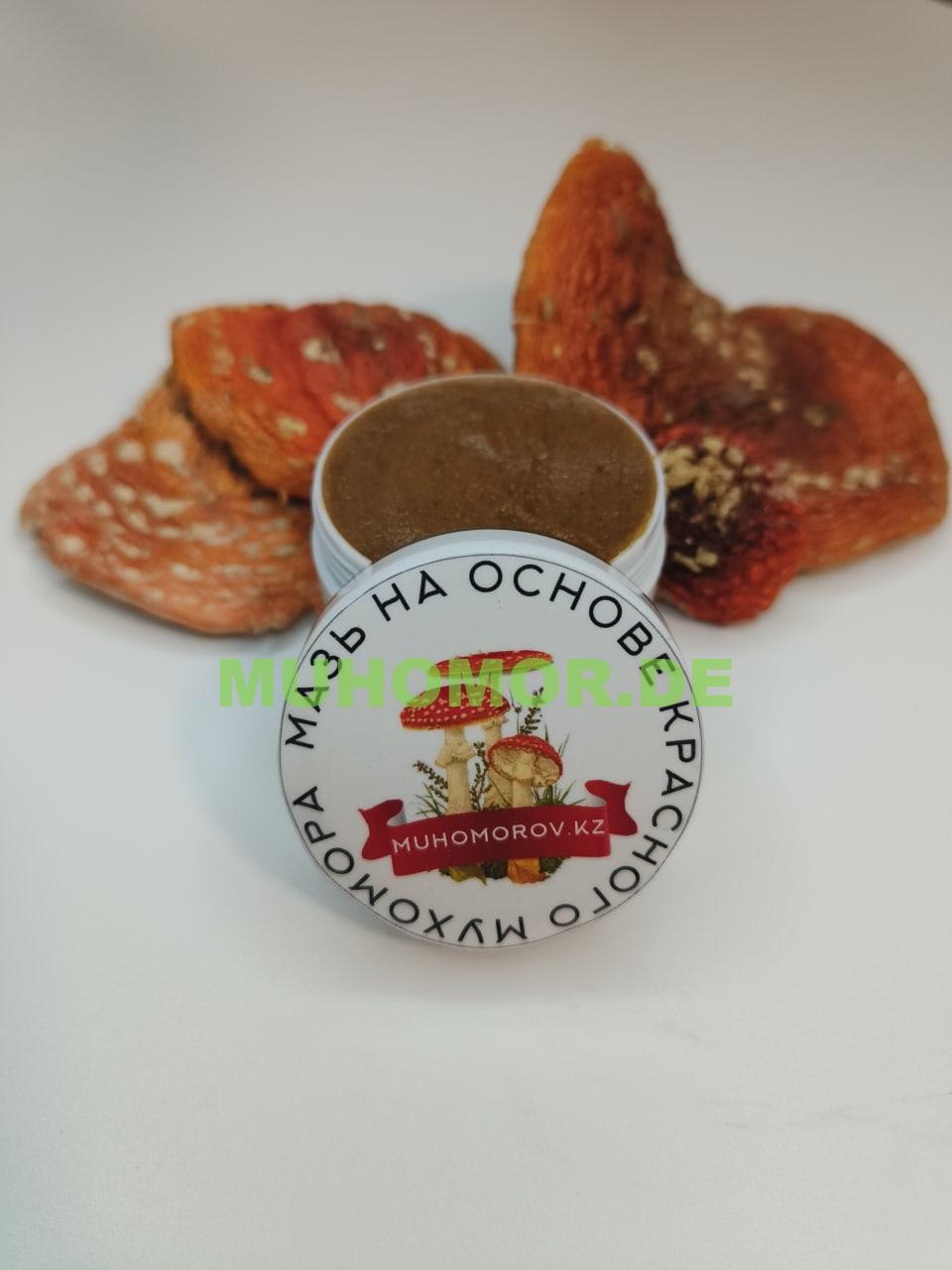 photo_2022-11-28_01-51-30 (2) Мазь на основе Шляпок Мухомора с доставкой по Германии