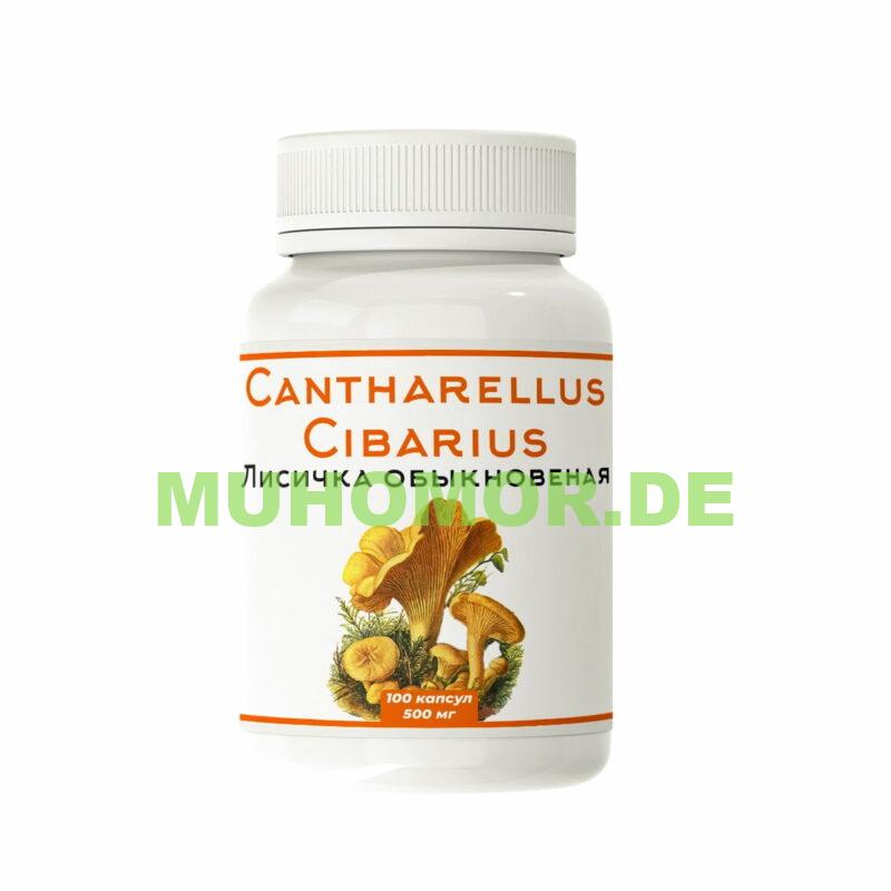 Микродозинг Лисичка Алтайская в капсулах Доставка по Германии