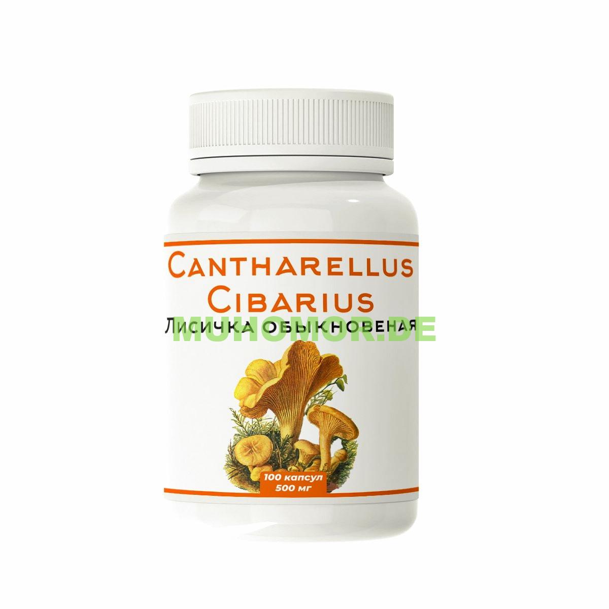 photo_2022-12-16_14-54-18 Микродозинг Лисичка Алтайская в капсулах Доставка по Германии